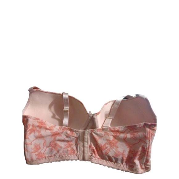 Push Up Bra Tropical Daisy Fuentes Adj. Straps Under Wire Support Romantic 42D - Picture 5 of 10